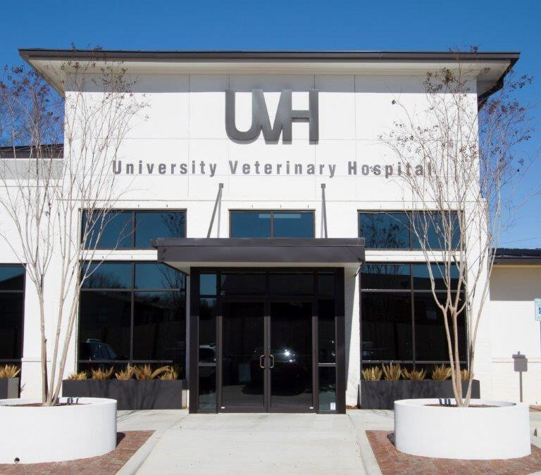 UNIVERSITY VETERINARY HOSPITAL